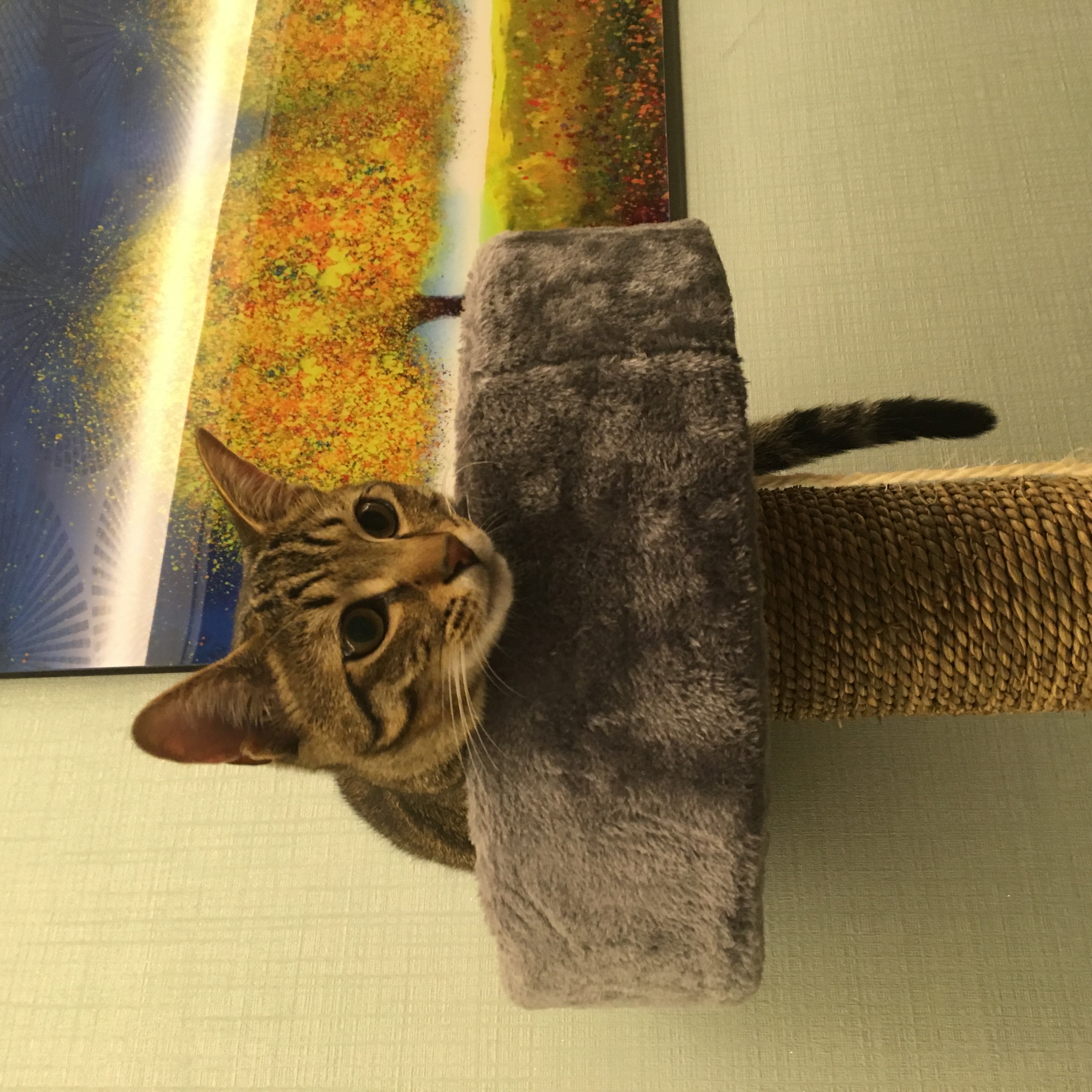 프로젝트 이미지