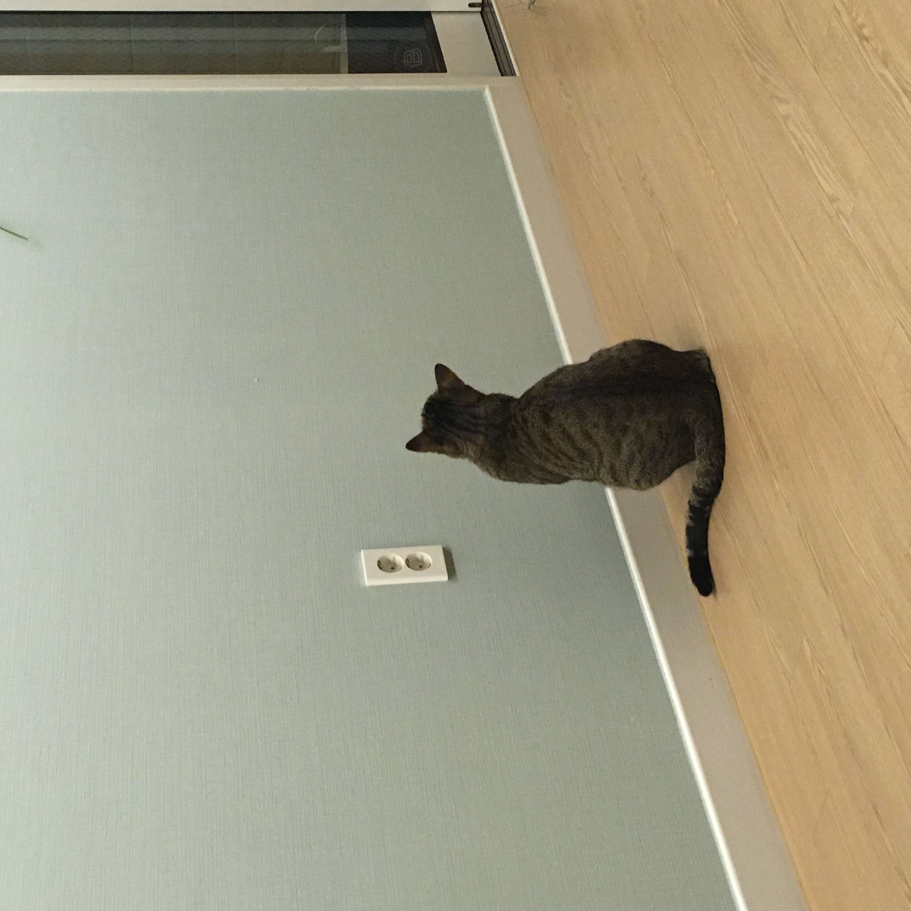 프로젝트 이미지