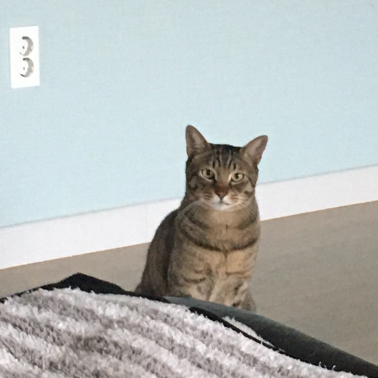 프로젝트 이미지